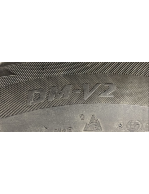 225/60R18 100S Bridgestone Blizzak DM2
