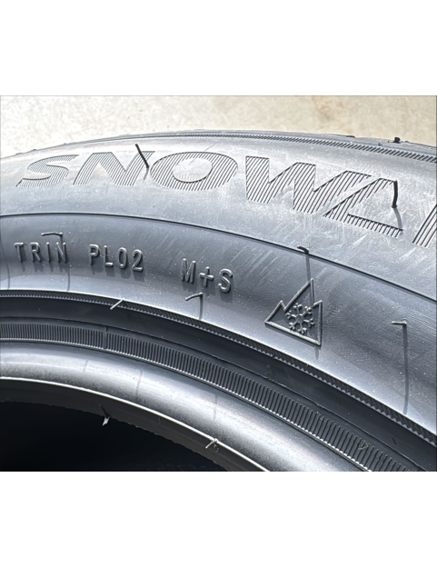 245/50R18 104V XL TRIANGLE PL02