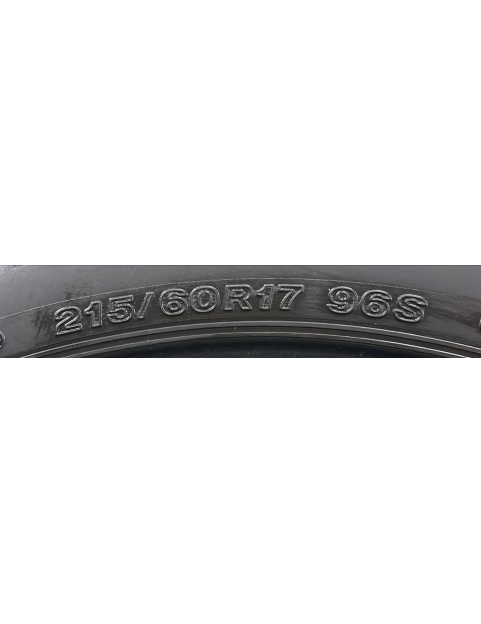 215/60R17 96S Bridgestone blizzak DM-V2